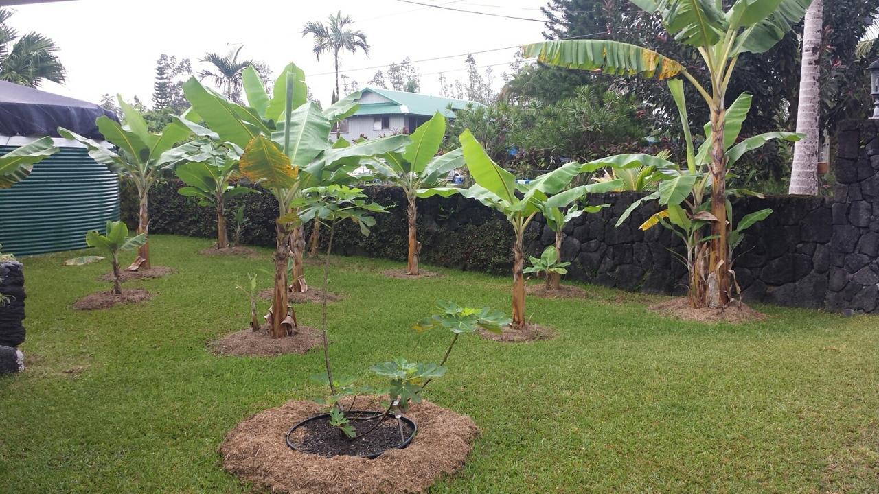 Robbrecht Troost Pottery Pahoa Exterior foto